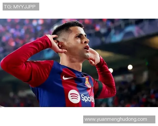 坎塞洛在足球场上的辉煌历程与未来发展潜力分析