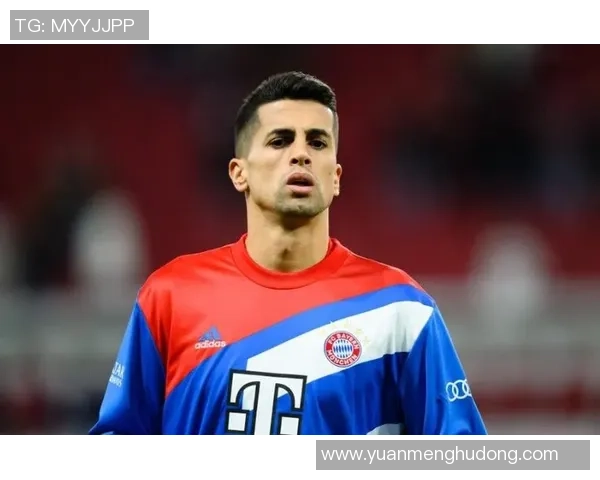 坎塞洛在球队中的角色转变与未来发展潜力分析